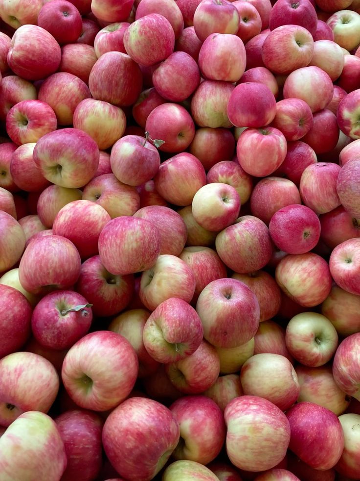 Frugoo Apple Powder – 100% Natural Fruit Powder | Rich in Fiber, Vitamins & Antioxidants