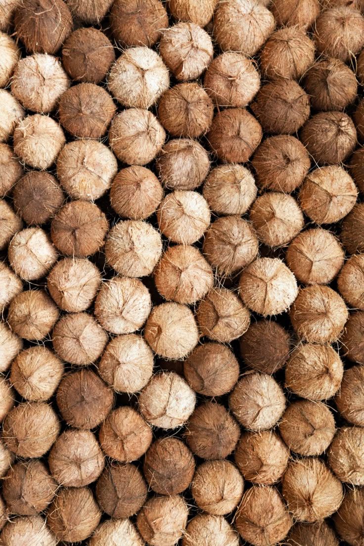 Frugoo Coconut Powder – 100% Natural & Pure | Rich in Healthy Fats, Fiber & Flavor