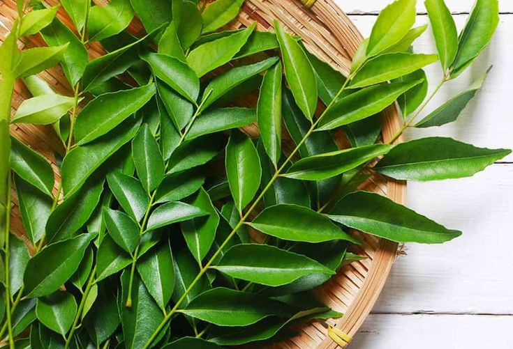 Frugoo Curry Leaves Powder | Natural Hair & Digestive Wellness Superfood