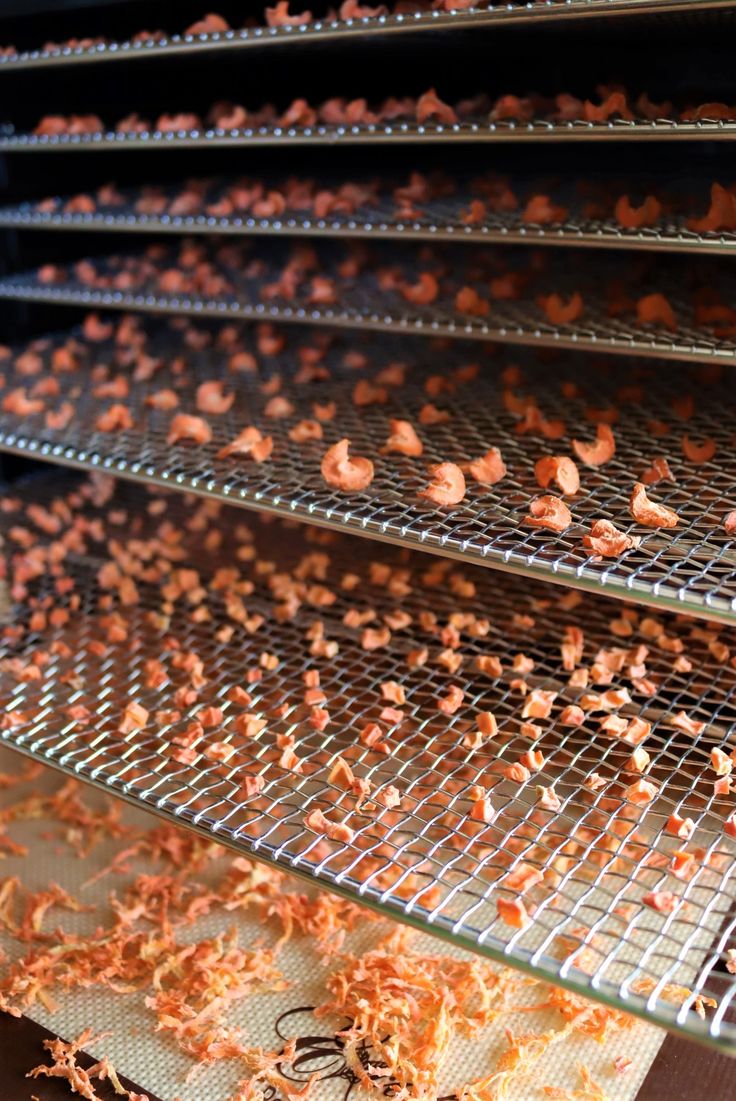 Frugoo Carrot Powder – 100% Natural & Pure | Rich in Vitamin A & Antioxidants for Skin & Vision