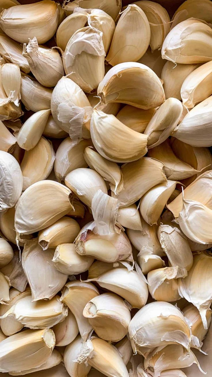 Frugoo Garlic Powder – 100% Natural & Pure | Rich in Antioxidants for Immunity & Heart Health