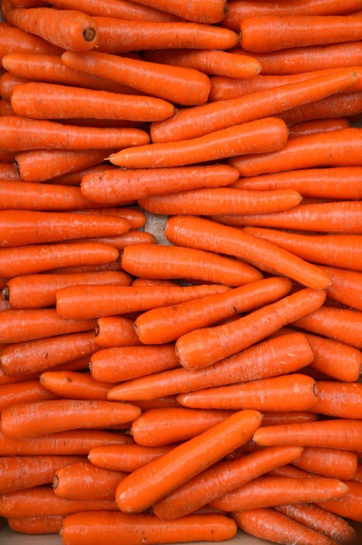 Frugoo Carrot Powder – 100% Natural & Pure | Rich in Vitamin A & Antioxidants for Skin & Vision